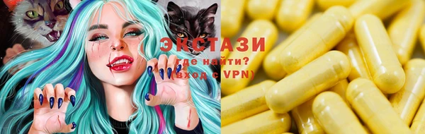 МДПВ Бородино