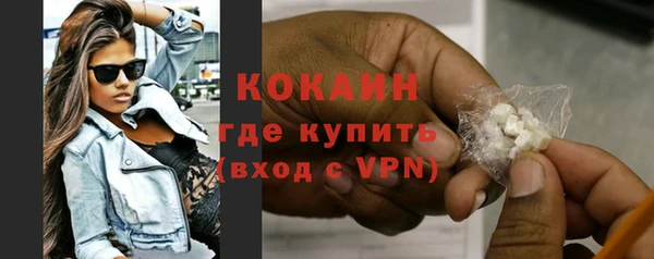 МДПВ Бородино