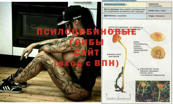 МДПВ Бородино