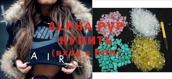 МДПВ Бородино