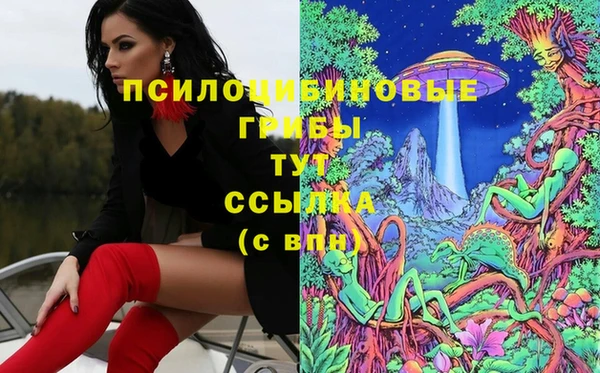 МДПВ Бородино