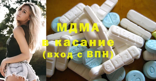 МДПВ Бородино