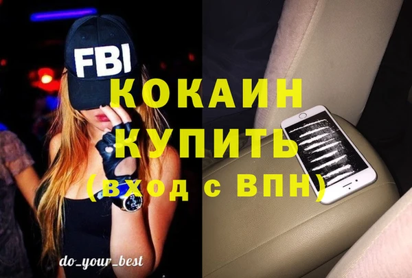 МДПВ Бородино